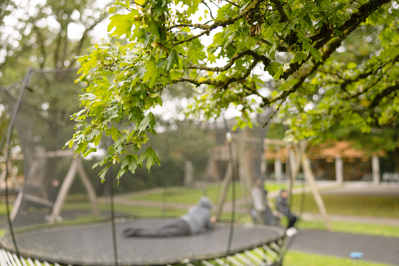 LF241231-web-1280.jpg LF241231-web-1280